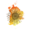Painted Drawn Summer Sunflower