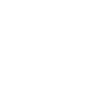 Golden Retriever - Goldie