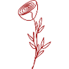 Rote Rose