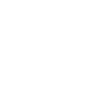 Eagle flying