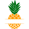 Ananas mit Textfeld