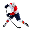 Ice hockey