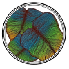 Handdrawing Leaf green and blue
