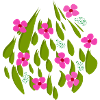 GREEN DROPS