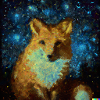 Starry Foxy