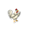 Déconner avec mes poulets