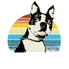Retro Boston Bull Terrier Cane Cucciolo Boston Terrier