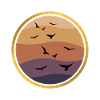 Vögel