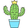 Cactus Cacti