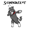 J'adore mon Schnauzer