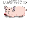 SCHLAFSCHWEIN