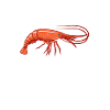 Shrimp Lover Gift