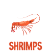 Shrimp Lover Gift
