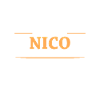 Professionnel Nico Nom Prénom