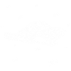 Rat - rodent