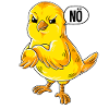 Kanarienvogel Nö