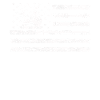American Flag