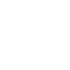 BJJ Jiu Jitsu