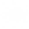 Fish Aquarium Marine Nature Conservation