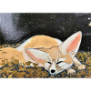 RestingDesertFox