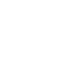 Problem Survivor not Solver