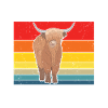 Highland cow