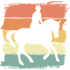 Riding Retro