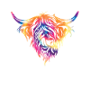Highland cow