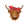 Highland cow