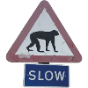 Schild Affe fbg