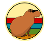 Capybara with sunglasses Capybaras