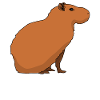 Capybaras Wasserschwein Capybara