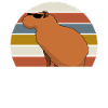 Capybara Sunglasses Capybara