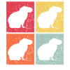 Capybara retro Wasserschwein Capybaras