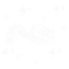 Squirrel - rodent