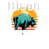 Buffalo Bison Ox Indian American