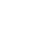 Ingenieur