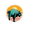 Buffalo Bison Ox Indian American