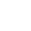 Steinmetz