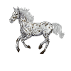 Tegning av en Appaloosa