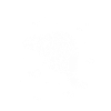 Marder Ermine Weasel