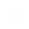 Bison - Buffalo