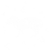 Rat - rongeur