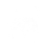 Anteater - Zoo Naturschutz