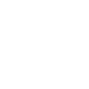 Labradoodle