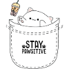 Chonky Cat