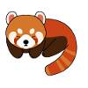 Roter Panda Müde Schlafen