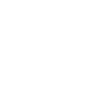 Fleischer