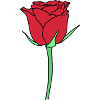 Stängel Rose