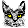 Kater Bernstein
